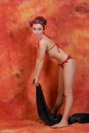 [Image: 698dde9965c39.jpg]