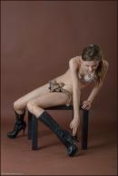 [Image: 698ff7870639d.jpg]