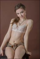 [Image: 698ff7a8469e5.jpg]