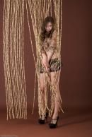 [Image: 698ff815b28a7.jpg]