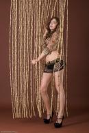 [Image: 698ff8168d86d.jpg]