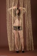 [Image: 698ff81d88c76.jpg]