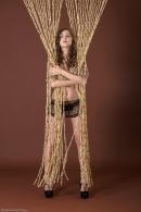 [Image: 698ff82a24761.jpg]