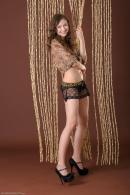 [Image: 698ff833d41ad.jpg]