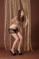 [Image: 698ff83936323.jpg]