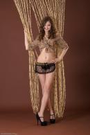 [Image: 698ff83aca8b7.jpg]