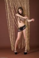 [Image: 698ff83d2b0e7.jpg]