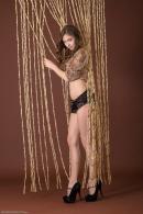 [Image: 698ff84268a61.jpg]