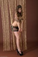 [Image: 698ff85eeebb3.jpg]