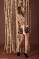 [Image: 698ff85fddd14.jpg]