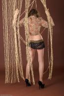 [Image: 698ff860e4987.jpg]