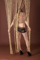 [Image: 698ff863060ff.jpg]