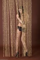 [Image: 698ff868269e9.jpg]