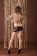 [Image: 698ff8726d986.jpg]