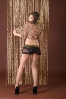 [Image: 698ff87425efa.jpg]