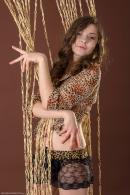 [Image: 698ff8ac2176b.jpg]