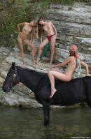 [Image: 69993462c0299.jpg]