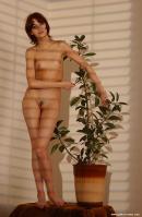 [Image: 699a4ccab7914.jpg]