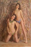 [Image: 699a52f77f5f2.jpg]