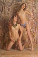 [Image: 699a52f7e11e4.jpg]