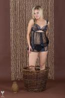 [Image: 69b4518540acc.jpg]