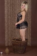 [Image: 69b45191adb3c.jpg]