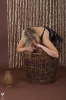 [Image: 69b451a4bda21.jpg]