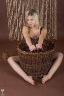 [Image: 69b451b4493aa.jpg]