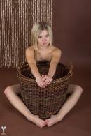 [Image: 69b451eaaa9d3.jpg]