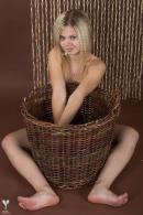 [Image: 69b451f43da37.jpg]