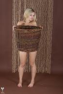 [Image: 69b451f504849.jpg]