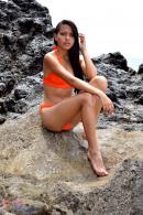 [Image: 69bb5f44b1686.JPG]