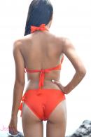 [Image: 69bb5f53983a4.JPG]