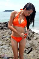 [Image: 69bb5f63619f1.JPG]