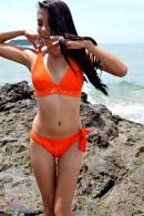 [Image: 69bb5f641f62c.JPG]