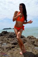 [Image: 69bb5f6f54743.JPG]