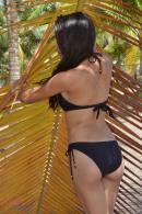 [Image: 69bcc085013fe.JPG]