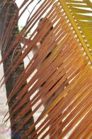 [Image: 69bcc18f58e78.JPG]